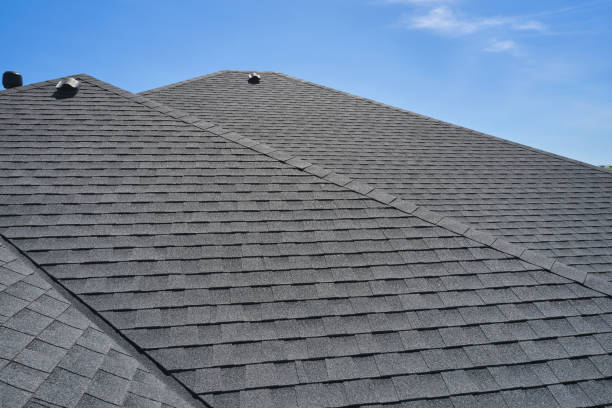 Best Sheet Metal Roofing  in Park Ridge, IL